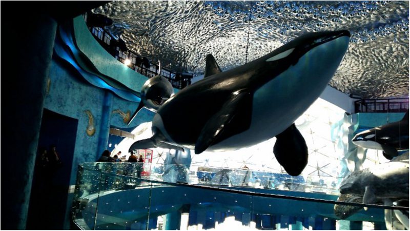 沿海地方水族館1