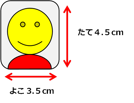 ロシアビザ申請書用の写真サイズ