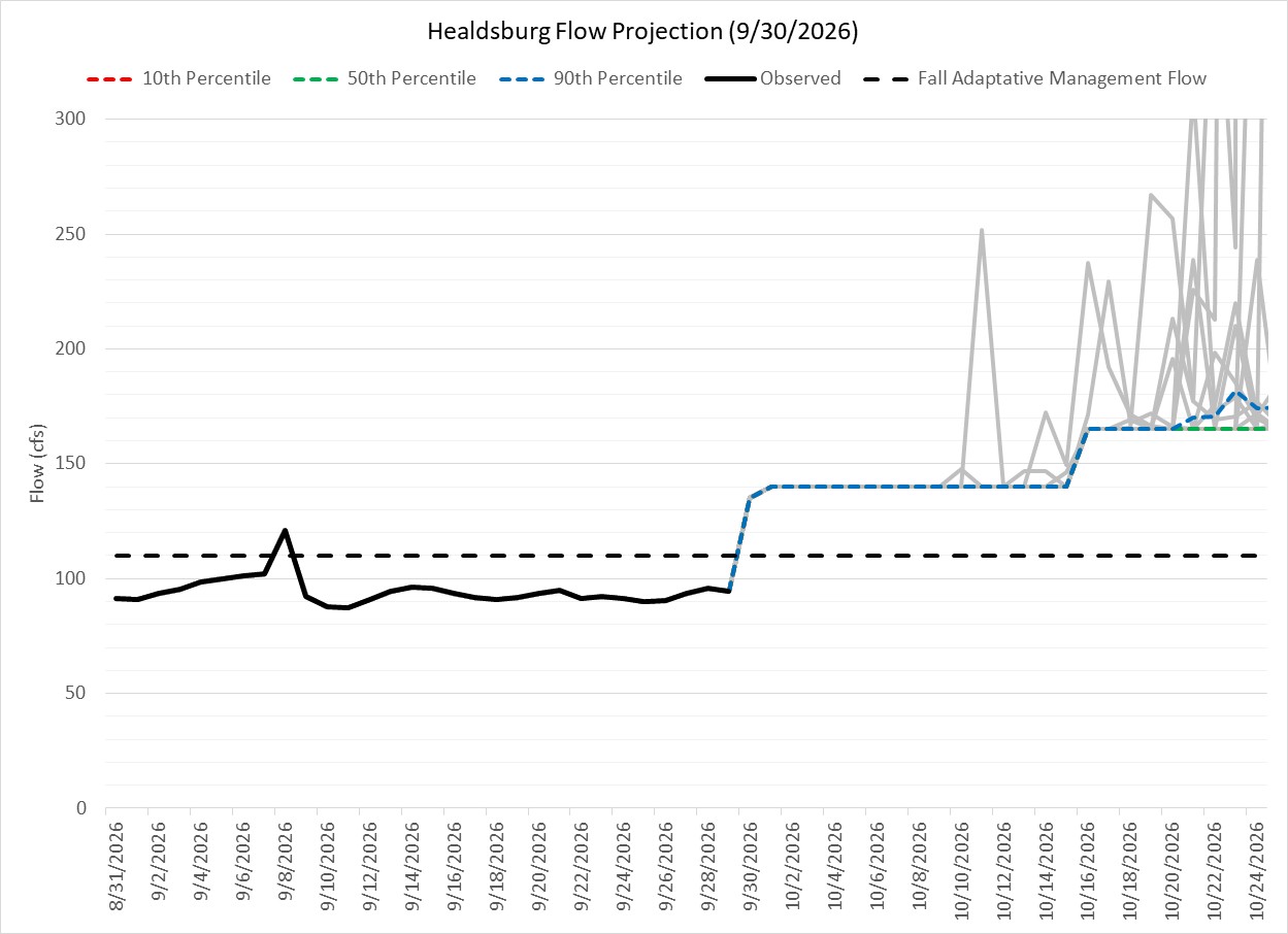 River Flow Forecast at Healdsburg
