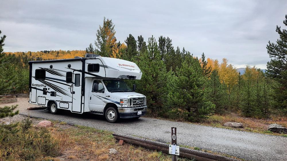 are dogs allowed at heaton bay campground