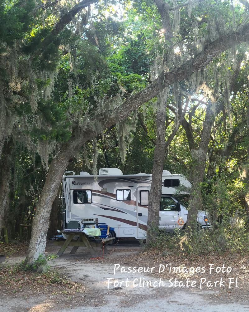 Best Hikes and Trails in Fort Clinch State Park