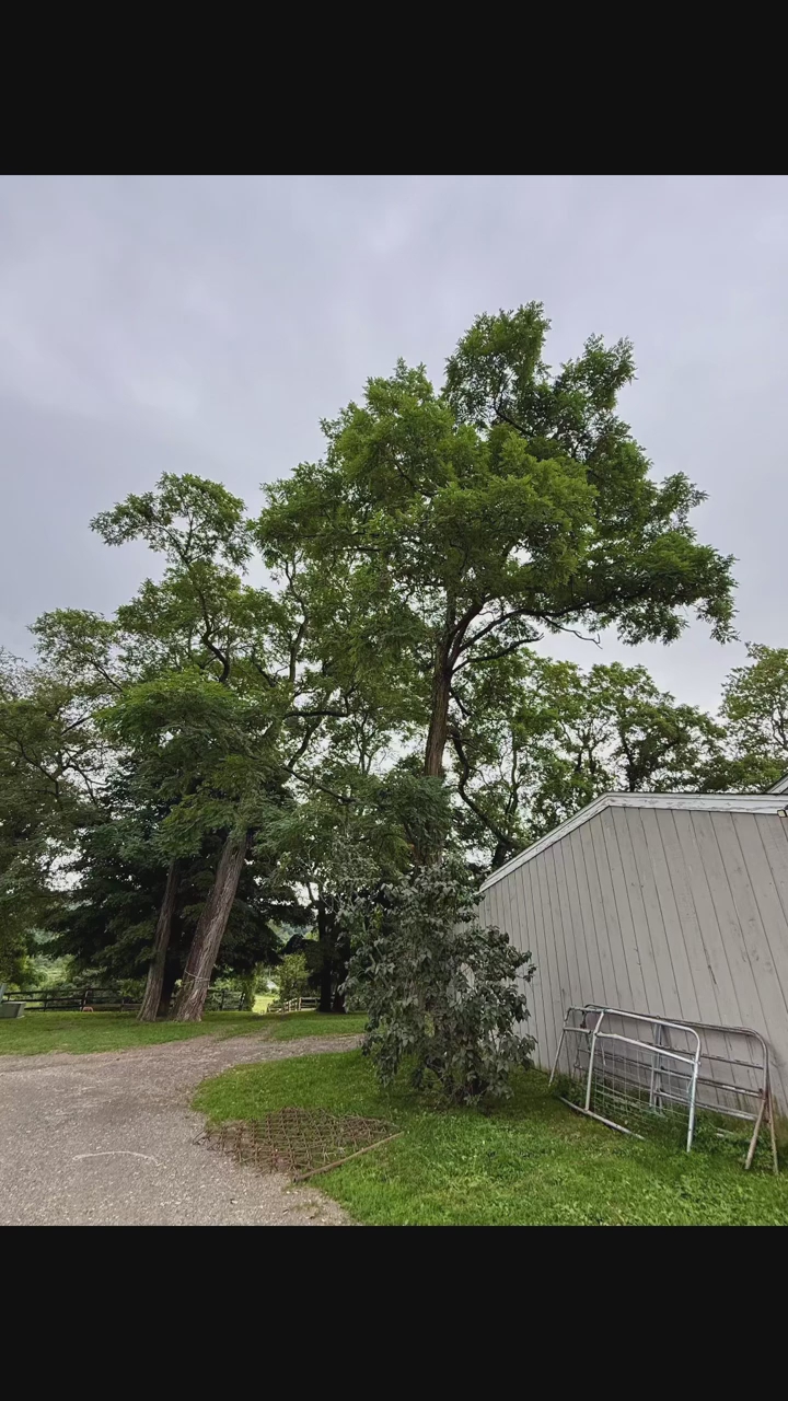 video at Pine Plains, NY on Aug 21, 2025: Jillian’s Group LLC was called to Taconic Equestrian in Pine Plains, New York as they had two locus