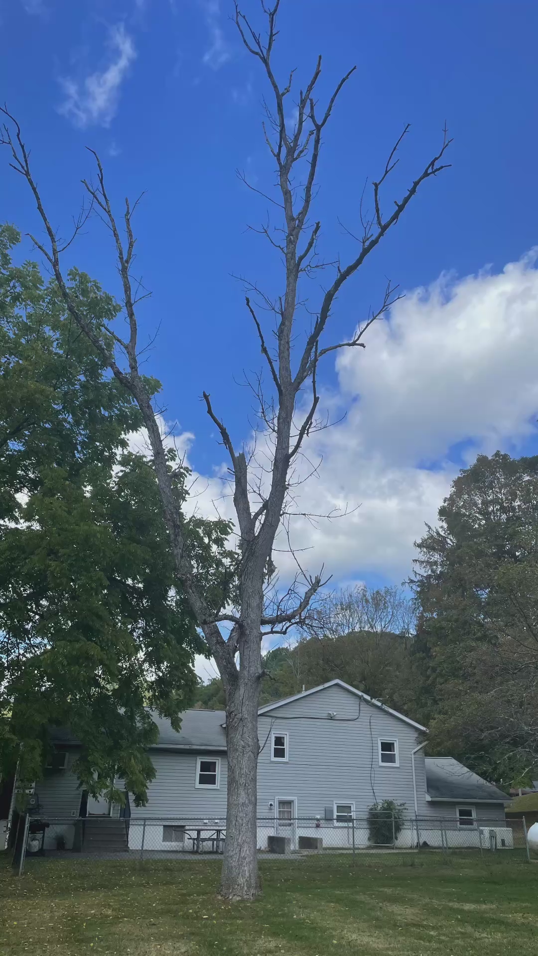 video at Wingdale, NY on Dec 12, 2025: The dead ass tree was jeopardizing the safety of a customerās home fence and propane tank
Jillianās video at Wingdale, NY on Dec 12, 2025: The dead ass tree was jeopardizing the safety of a customerās home fence and propane tank
Jillianās