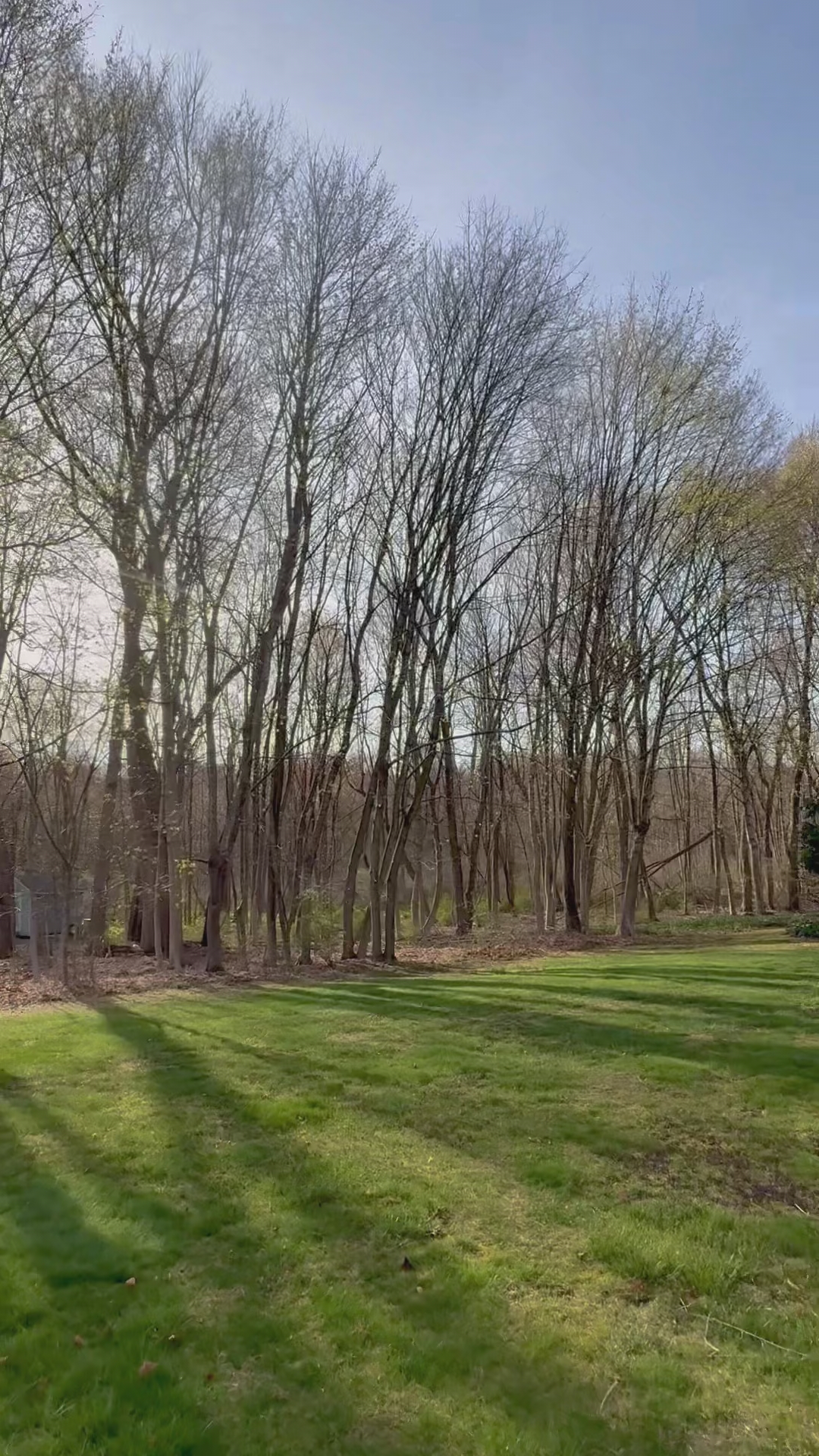 video at Poughkeepsie, NY on Apr 18, 2025: High winds had caused concerns for a homeowner in Poughkeepsie, where trees were brushing against t video at Poughkeepsie, NY on Apr 18, 2025: High winds had caused concerns for a homeowner in Poughkeepsie, where trees were brushing against t