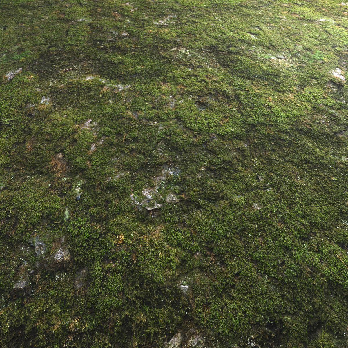 STONE-WITH-MOSS