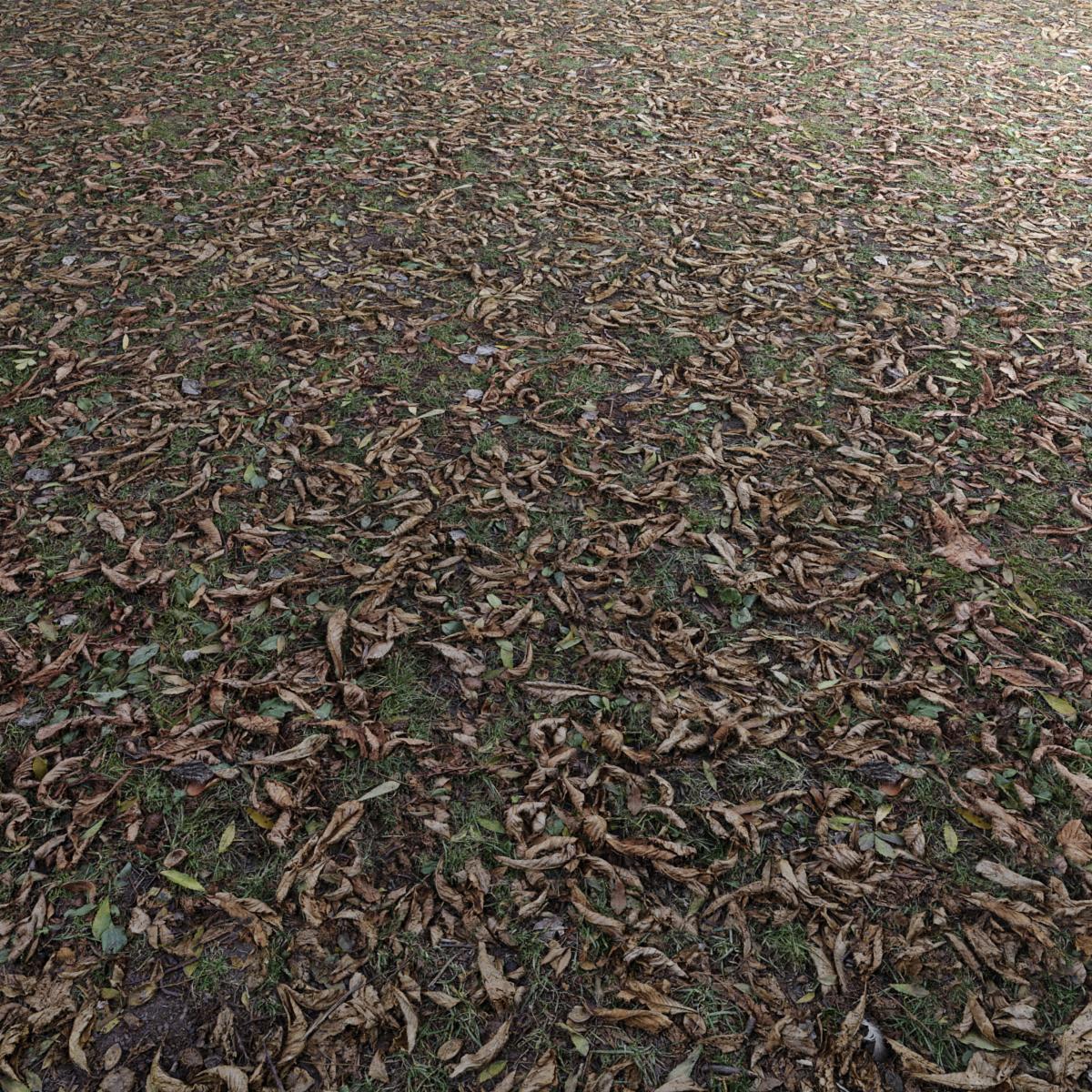 AUTUMN-LEAVES-DRY-WITH-GRASS