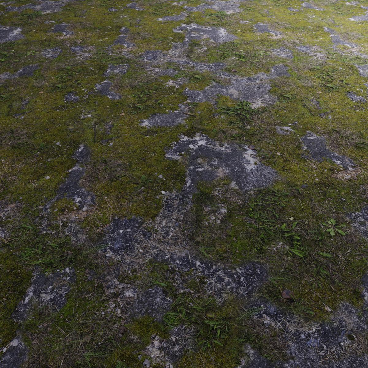 GROUND-WITH-MOSS-CONCRETE