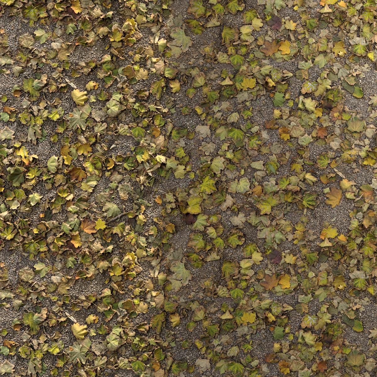 AUTUMN-LEAVES-WITH-GRAVEL