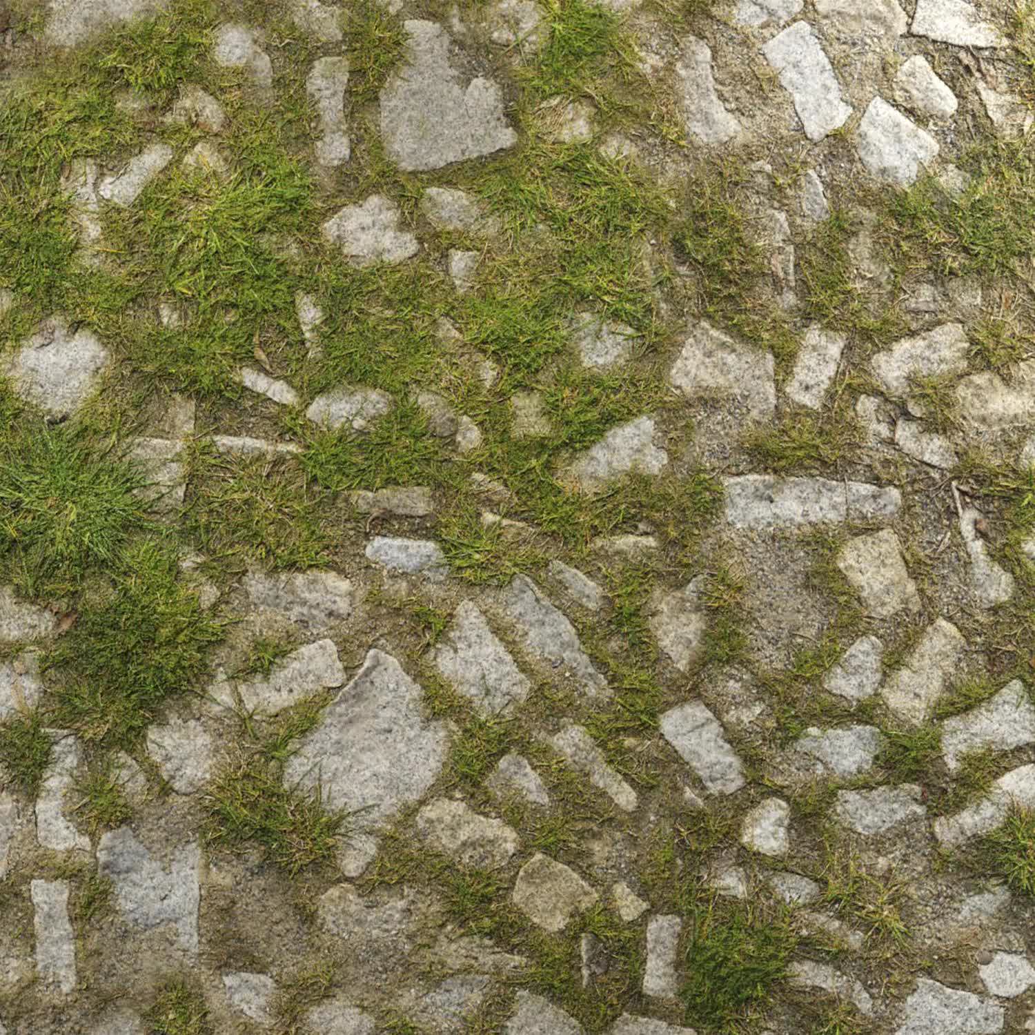 STONE-PAVEMENT-GRASSED
