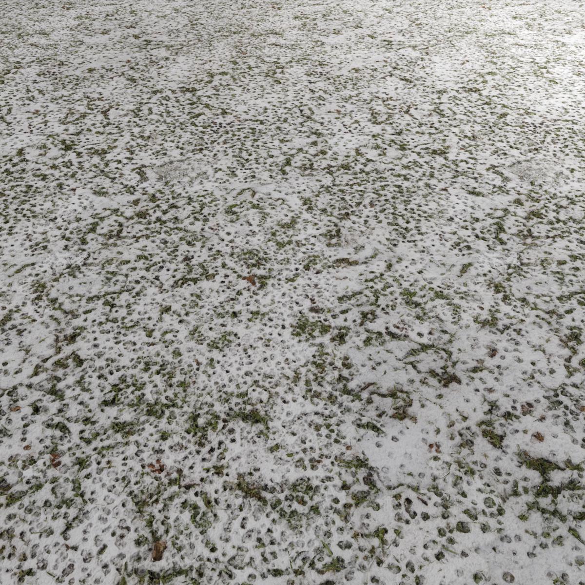 GRASS-WITH-SNOW
