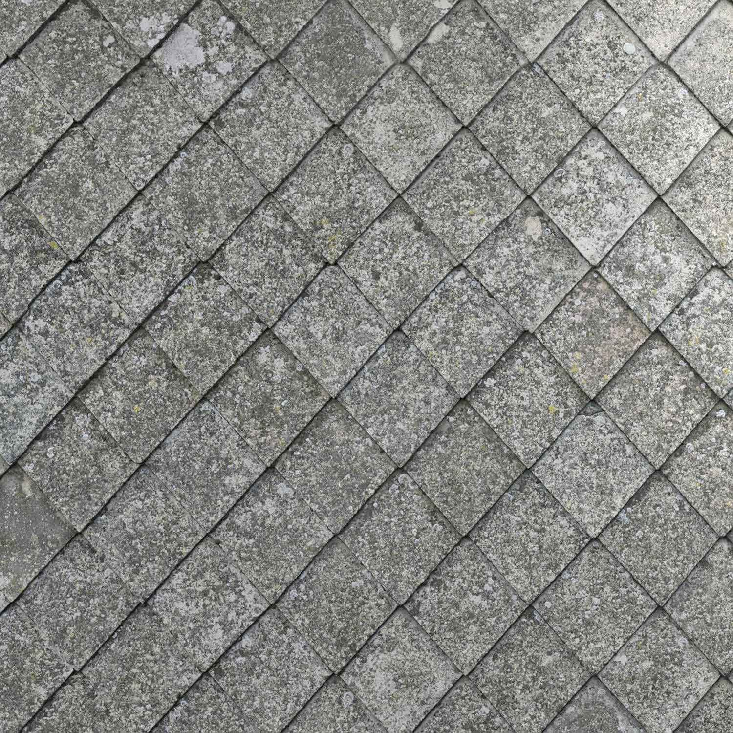 ETERNIT-ROOF-WITH-MOSS