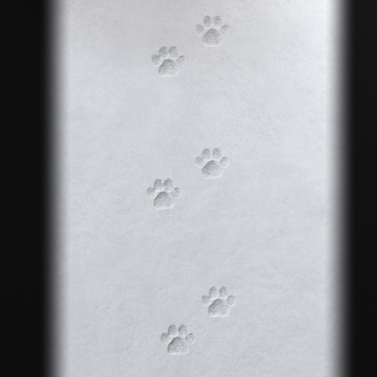 SNOW-DOG-FOOT-PRINTS