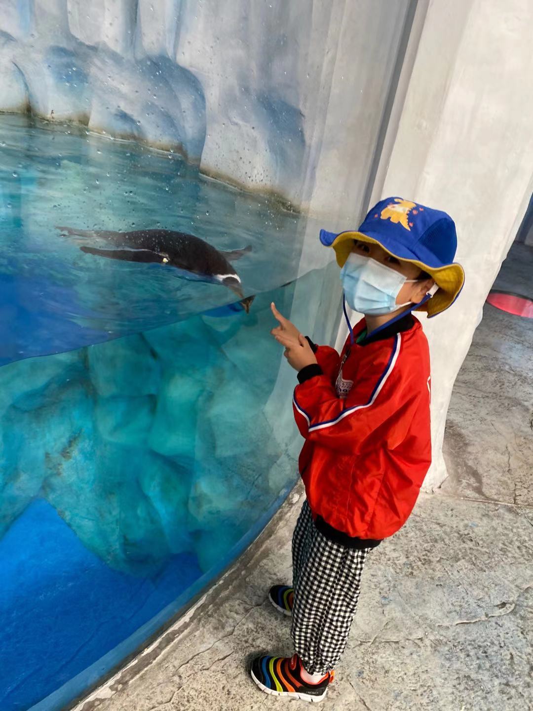 ocean_park