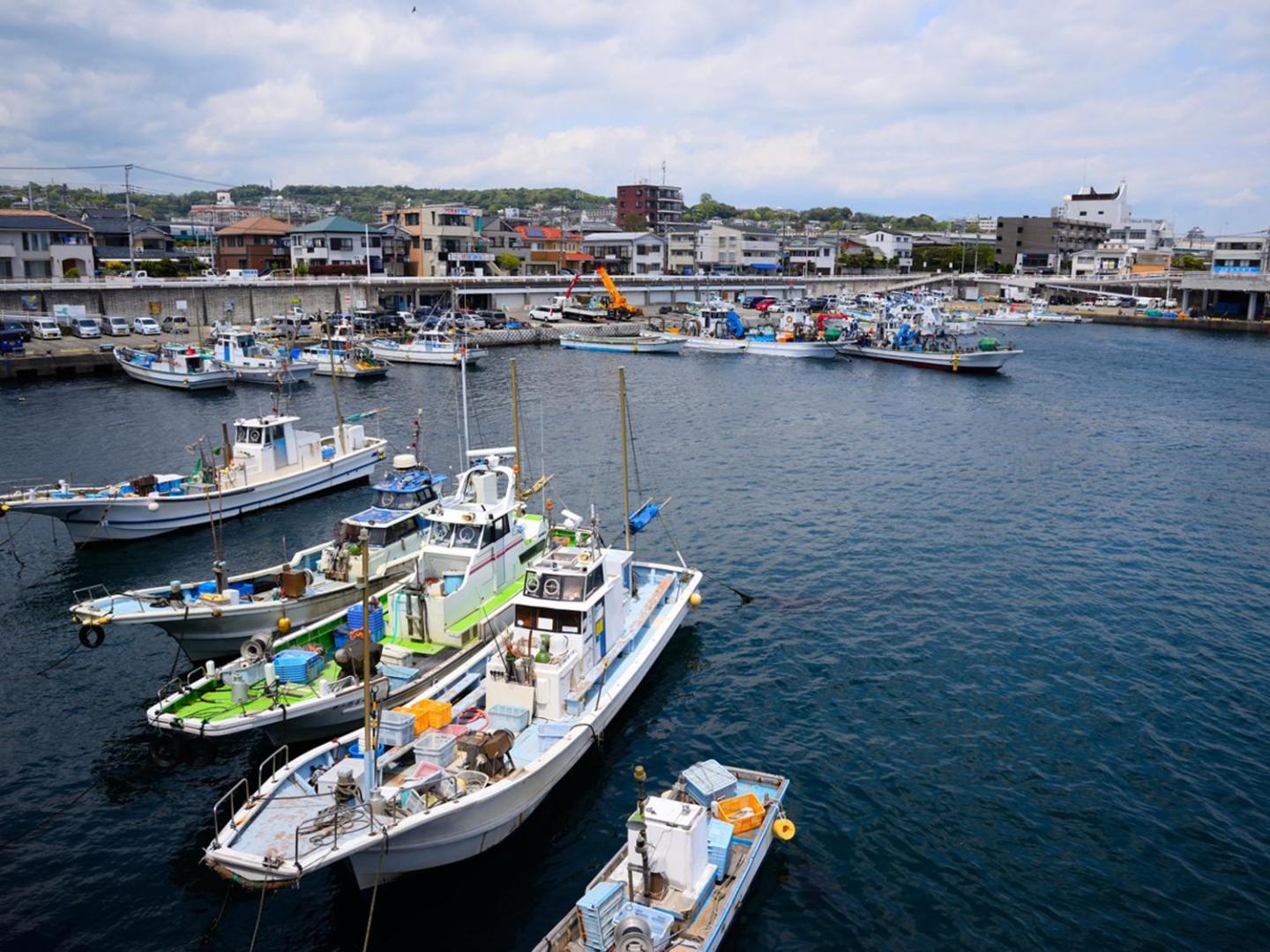 Fukushimakan thumbnail 2