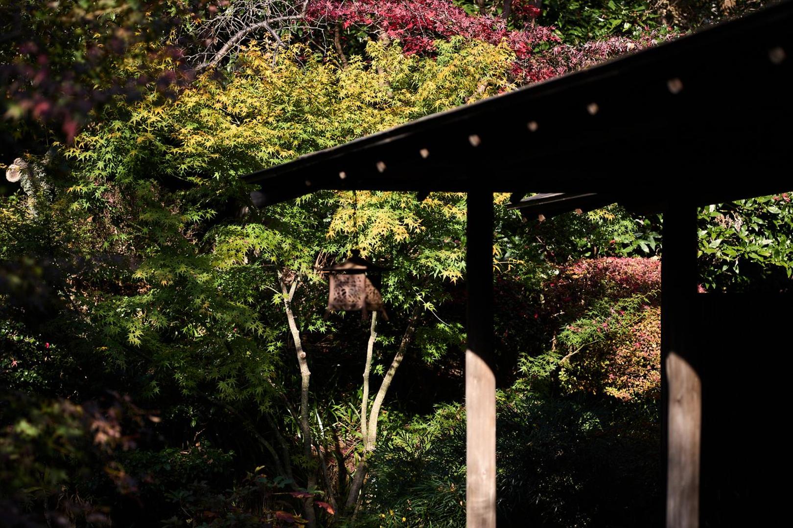 Jinya thumbnail 4
