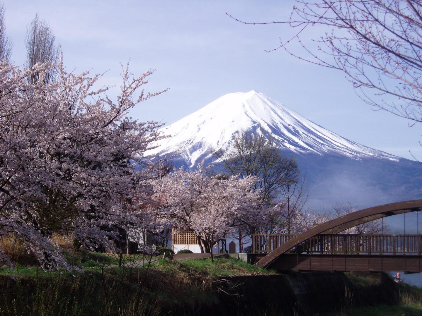 Komaya Ryokan thumbnail 4