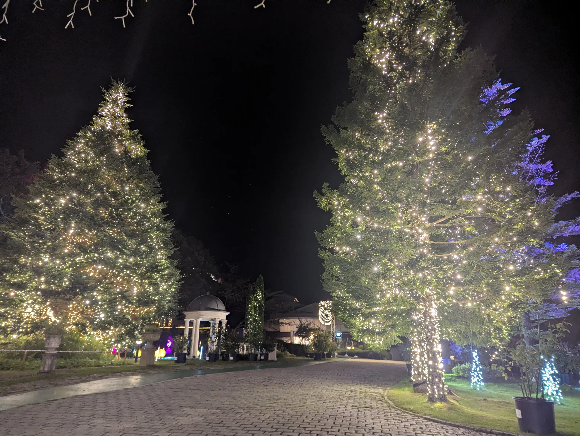 Hotel Sunvalley Nasu: An Ultimate Healing Space and Magical Illuminations Main