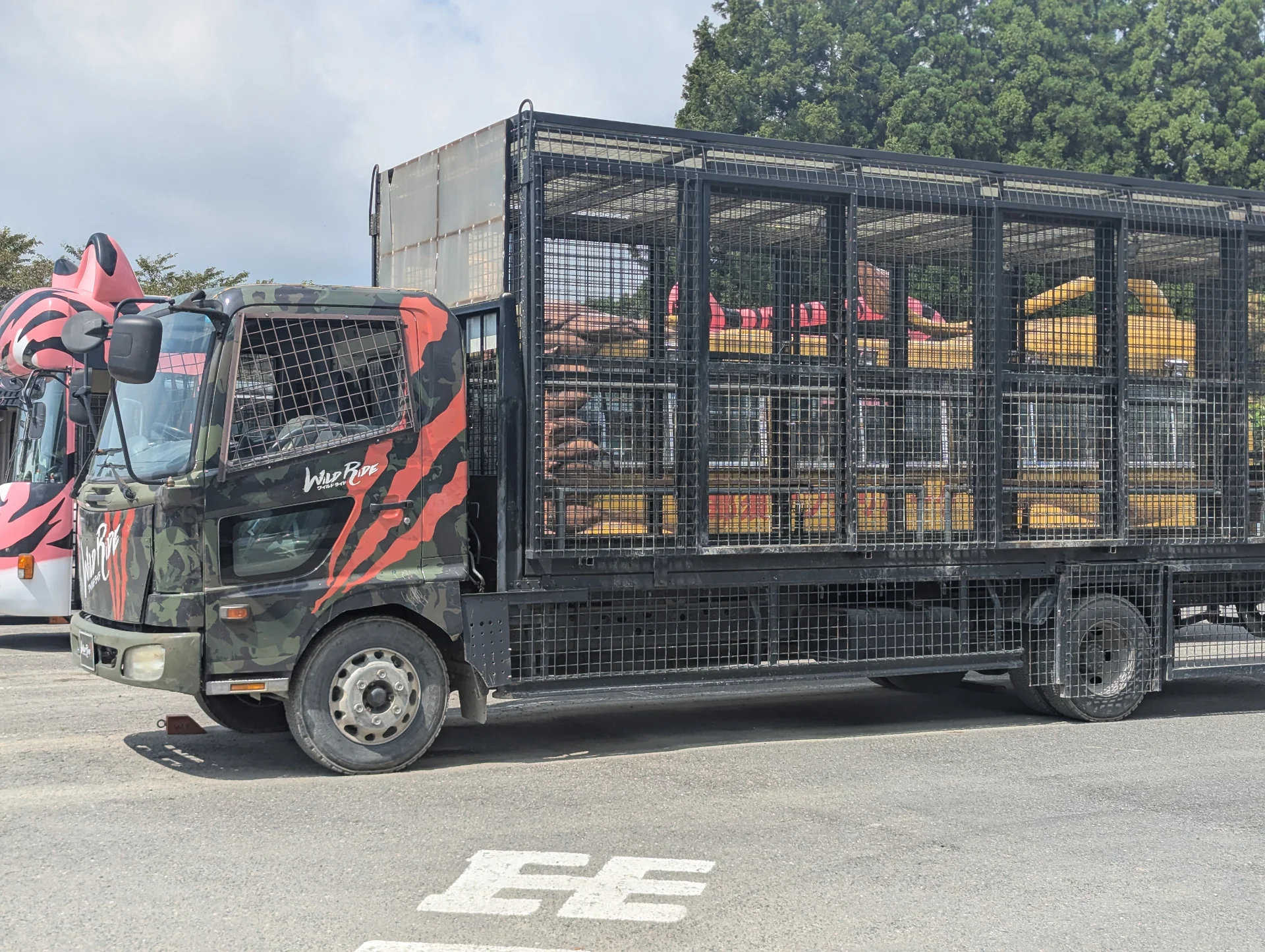 A Thrilling Experience on the Wild Ride: Feeding Meat to Lions! Main