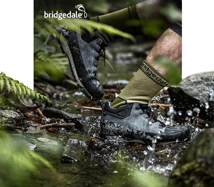 Bridgedale