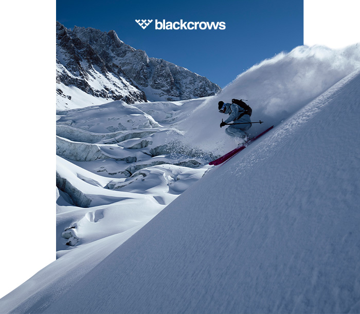 Black Crows