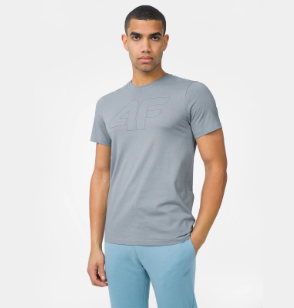 Men's regular T-shirt with print
