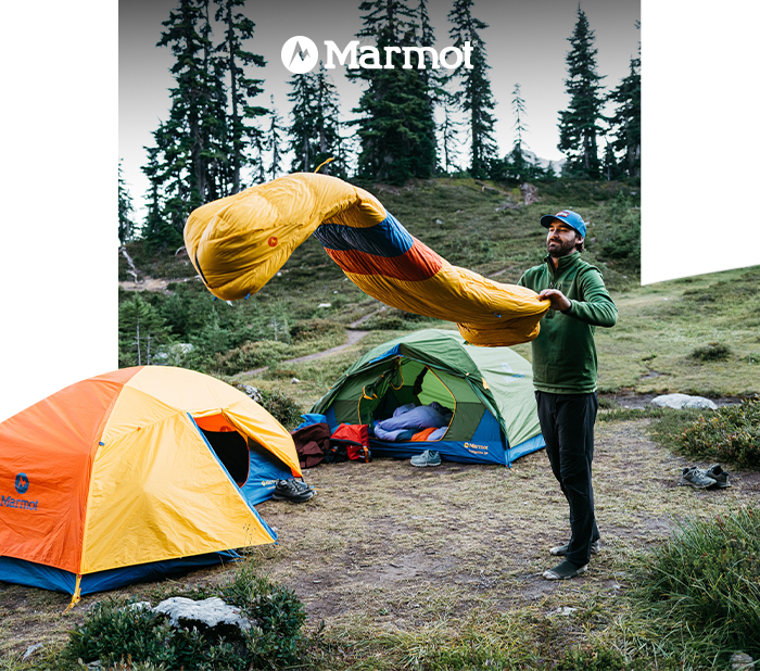 Marmot