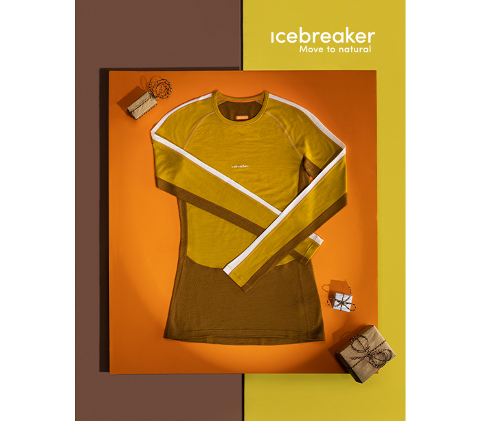 Icebreaker