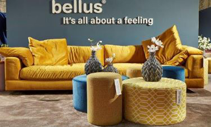 Bellus