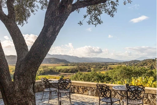 🌄 How beautiful is this view? 😍
I love looking out across the rolling hills when I’m spending time in Napa Valley. The breathtaking landscapes, lush vineyards, and serene atmosphere make every moment feel like a dream. 🍇✨
Whether it's wine tasting, exploring the countryside, or simply soaking in the scenery, Napa Valley is pure bliss.