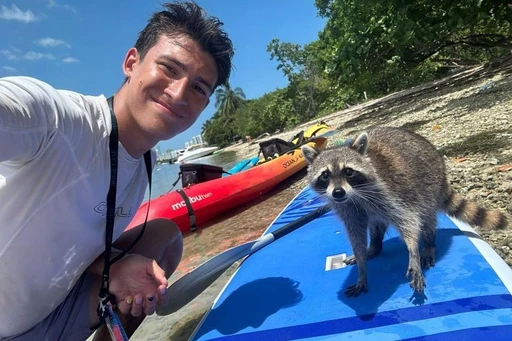 Raccoon Island: Exploration on SUP/Kayak from Miami!
Explore the South Florida ecosystems and take photos with raccoons on Sandspur Island on a tour in North Miami Beach.
Kayak through the blue waters and relax on the beach while enjoying fresh fruit.
Meet on the dock behind Dezer Building. There will be a guide to meet you in the SIDE PARKING LOT to take you back to the dock.