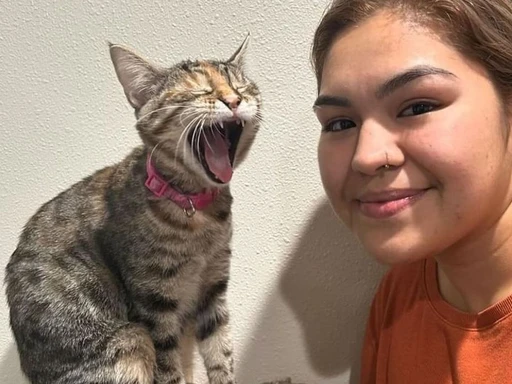 🐈⬛THERE’S A CAT CAFE IN DALLAS
Whiskers and Soda is a casual cafe where you can mix and mingle with cats and kittens while you relax and work.
Located in the heart of Dallas with cats ready to find a permanent home! It’s $16 an hour to walk in and pet them, plus can enjoy a little treat from the cafe while you’re there!☕️
Whiskers and Soda also boards cats on the other side of the cafe, so if you need someone to take care of your cat while you’re away, they’ve got you covered!