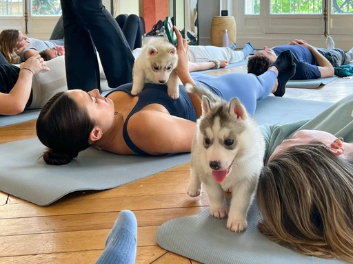Experience An Adorable Beachside Puppy Yoga Class This Weekend!
On the search for a local zen retreat? Well, you can experience the meaning of true relaxation and cuteness overload this weekend!

This Sunday, July 21, 2024, from 12 to 1 p.m. — join the Beachside Puppy Yoga — and no you don’t have to be a guest. In partnership with Spirit Yoga Studios and featuring adorable dogs from the Baja Paws rescue shelter, this hour-long class offers a 45-minute traditional yoga session followed by playful puppy interactions. As you stretch and breathe to find your zen, you’ll also have the chance to cuddle with puppies and experience a natural boost of happiness for a good cause.

Yoga guests will also have the opportunity to adopt a pup or leave a donation. Don’t miss the chance to relax by the ocean and make new furry friends! 
