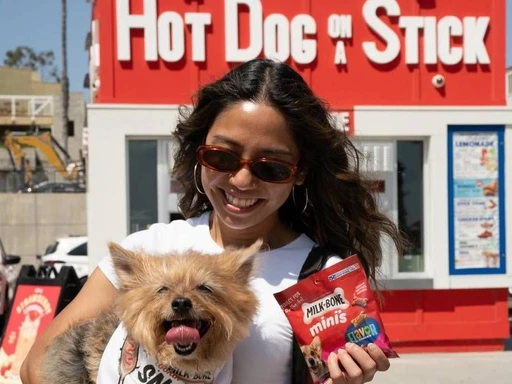Pups and pints: Join the ultimate pup party with Hot Dog on a Stick & Santa Monica Brew Works
Los Angeles-born favorites Hot Dog on a Stick, Santa Monica Brew Works, and the local non-profit HIT Living Dog Rescue are teaming up for the ultimate pup party on August 11 from 12 p.m. to 3 p.m. at Santa Monica Brew Works. This event wraps up Hot Dog on a Stick’s Dog Days of Summer campaign and is dedicated to raising awareness for dog adoption and supporting HIT Living Dog Rescue.
Come enjoy a variety of treats for both you and your furry friends — Milk-Bone goodies for the pups and tasty samples from Hot Dog on a Stick for humans. Cool off with Hot Dog on a Stick’s hand-stomped lemonade, and instead of paying, you can make a donation to HIT Living Dog Rescue. Plus, $1 from every sale of Santa Monica Brew Works’ 310 Stomped Shandy blended with Hot Dog on a Stick Lemonade will go to the rescue. Meet adorable adoptable pups from HIT Living Dog Rescue and check out tail-wagging dog swag from a mini village of charming vendors, including custom Hot Dog on a Stick x Milk-Bone bandanas.