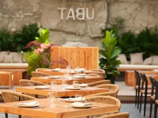 Tabú didn’t have to make their food delicious.
The Tulum-themed Williamsburg spot could have just relied on their huge outdoor area covered with parasols, a DJ stand with its own water-feature as a backdrop, and their excellent cocktails to bring people in the door. But the food is good, bordering on great—making this a clubstaurant that’s as exciting on a Wednesday as it is on Saturday.
On any of those evenings, you’ll find dancers in flowy costumes flitting between the fronded plants and two stone bars. And while we wouldn’t be surprised if the owners seriously considered filling the courtyard in with white sand at some point, there’s plenty of attention to detail in the seafood-oriented kitchen too. Tabú serves mostly smaller portioned food, so order a bunch of things, including a couple of tacos, a raw fish dish or two, and some stellar chips and guacamole.
