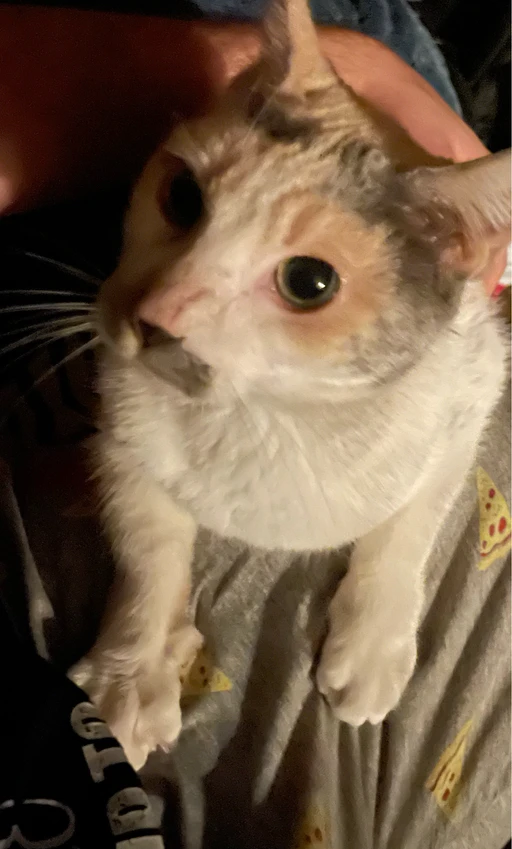 My little fluff ball