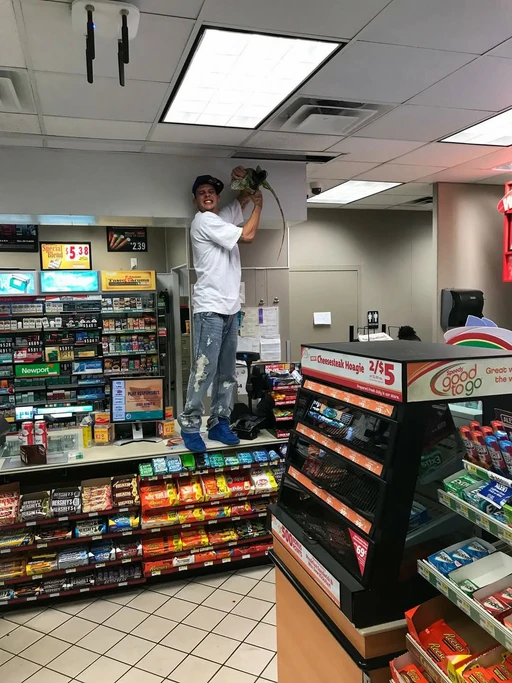 God damn iguanas are everywhere had to get this for the cashier at the gas station because she wouldn't serve me because this was above her head so I jumped up on the counter and snatched outa the roof. then told her is all this free now.. I didn't have to pay for my items for doing the favor.