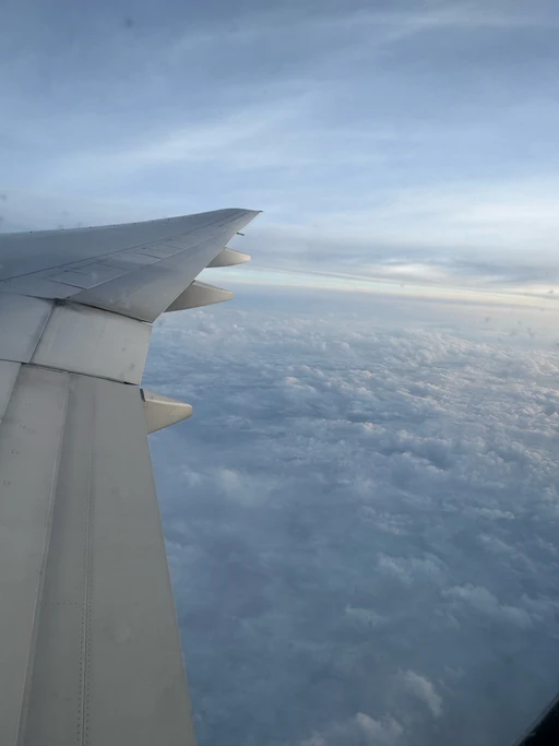 Nice view