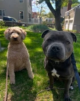 🤩