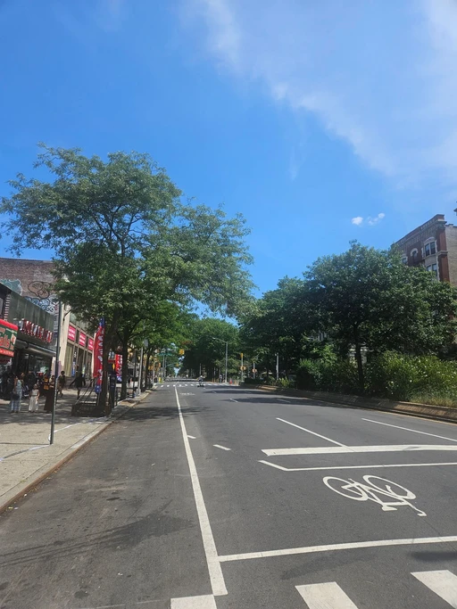 Saturday midday, where Manhattan is celebrating SUMMER STREETS, boulevards and avenues from the Brooklyn Bridge to Inwood are closed to vehicles. Which translated means our section of Broadway is currently filled with bands, vendors, walkers and cyclists. No cars. Kinda eerie but also very cool.
