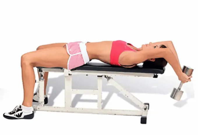 Träningströja liggande på en bänk med en hantel och skivstång för bröstmuskler, triceps och rygg