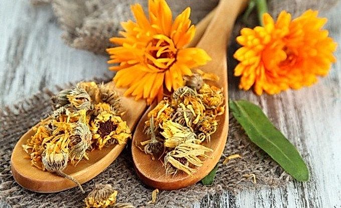 Calendula for hair: recipes for tinctures, decoctions and masks