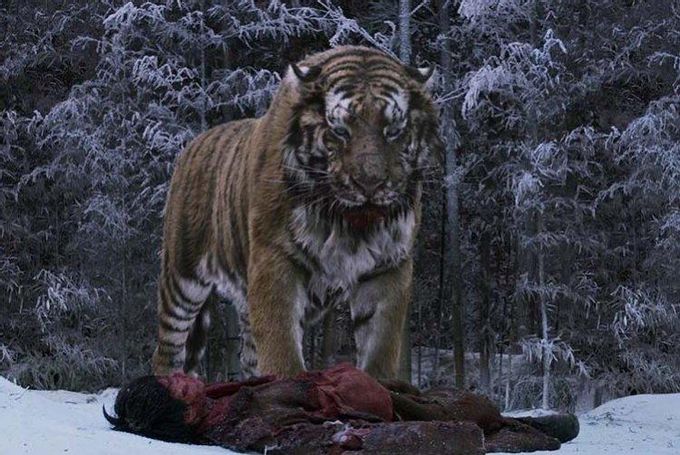 Tiger - Best Korean Movies