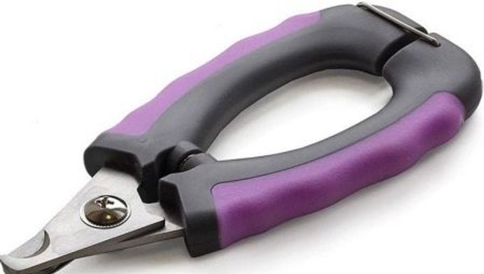 Nail clippers for dogs: varieties, features of choice and use