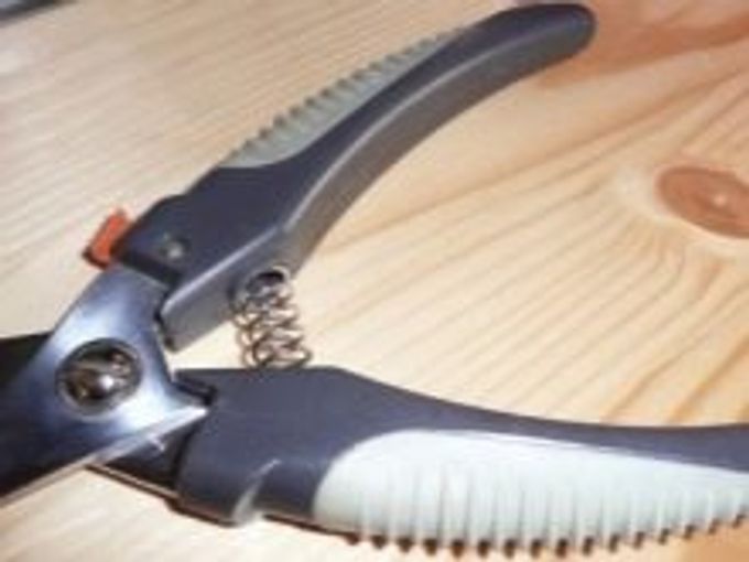 Claws for dogs: varieties, features of choice and use
