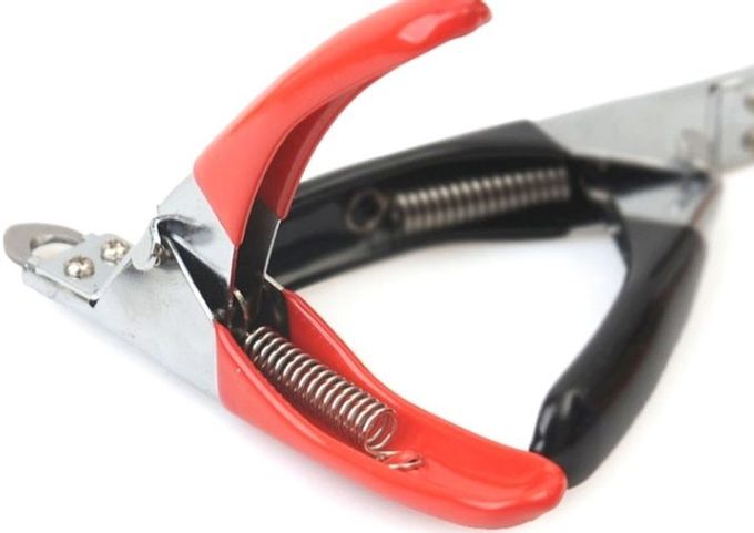 Claw cutters for dogs: varieties, features of choice and use