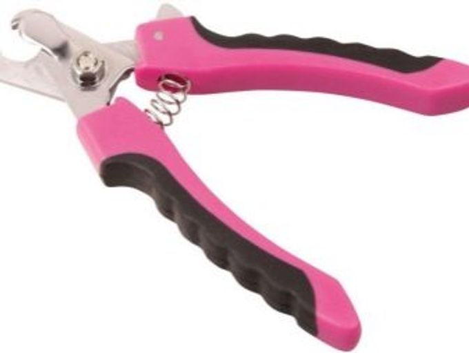 Nail clippers for dogs: varieties, features of choice and use
