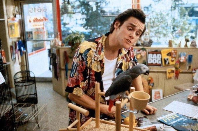 Ace Ventura: Pet Detective - Comedies to make you cry