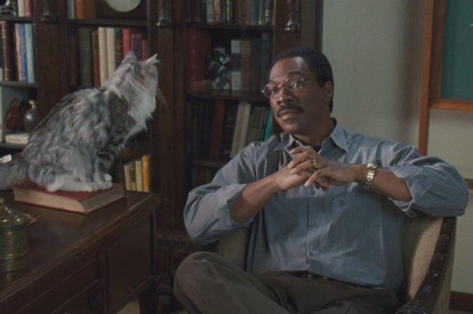 Doctor Dolittle - Comedies to laugh to tears