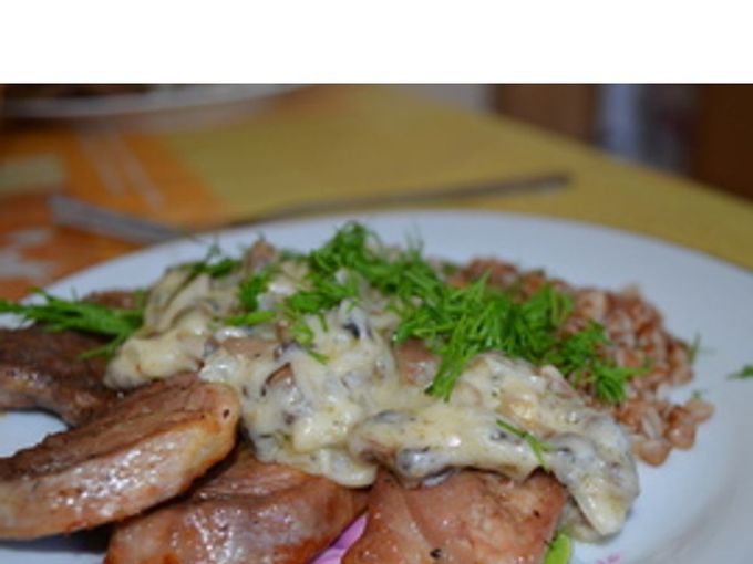 Pork medallions with mushroom sauce