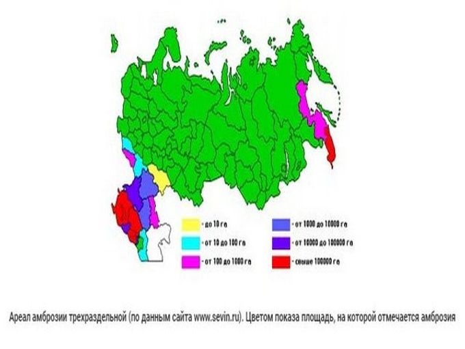 Карта аллергии россии